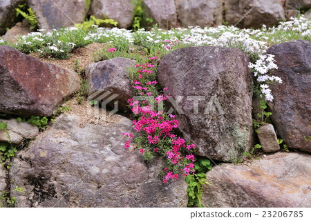 Takiya Hana Shobuen花園 23206785