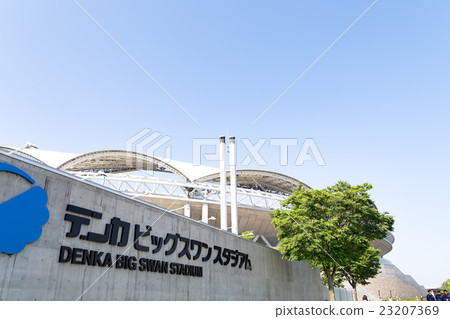 大天鵝體育場 23207369