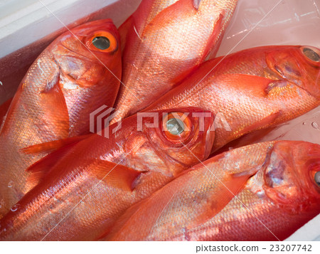 Raw kimono sea bream Raw kimono sea bream 23207742