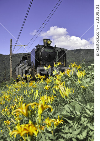 初夏SL Oigawa鐵路 初夏SL Oigawa鐵路 23208301