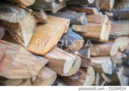 dry chopped firewood logs in a pile 23209524
