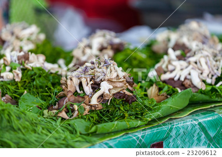 thai herbs ingredients 23209612