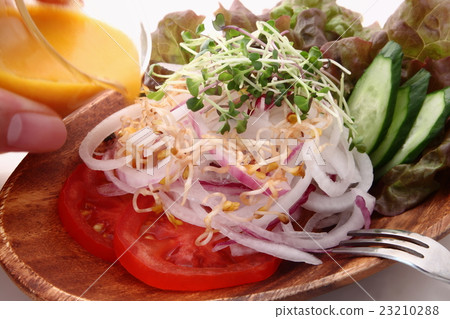 Sprout and sliced onion and tomato salad 23210288