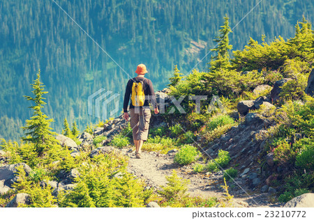 Hike Hike 23210772
