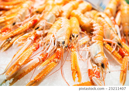 Pile of red fresh shrimps Pile of red fresh shrimps 23211407