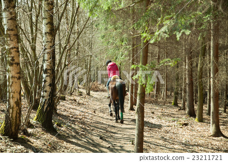 The girl riding a horse for forest trail The girl riding a horse for forest trail 23211721