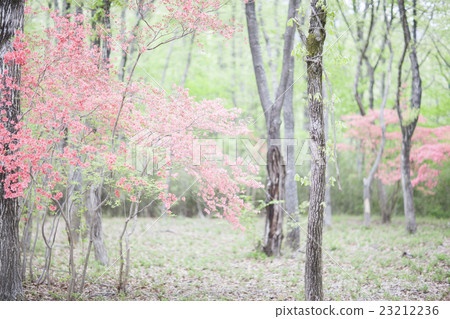 別墅區的空置土地 23212236