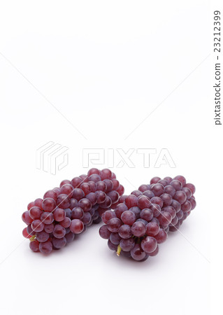 葡萄（特拉華州） 23212399