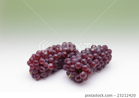 Grape (Delaware) 23212420