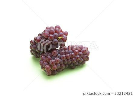Grape (Delaware) 23212421