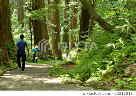 Haguroyama杉並樹 23212818