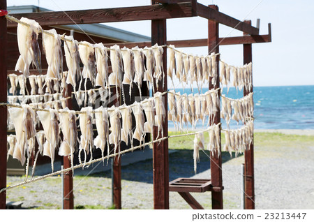 Ajigasawa squid sun-dried 23213447