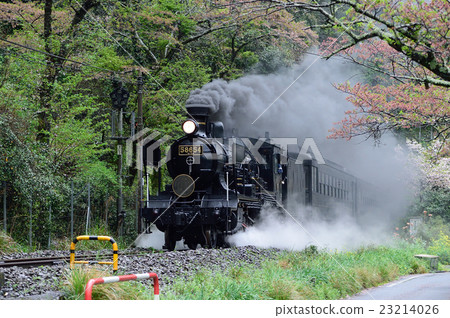 電動火車 電動火車 23214026