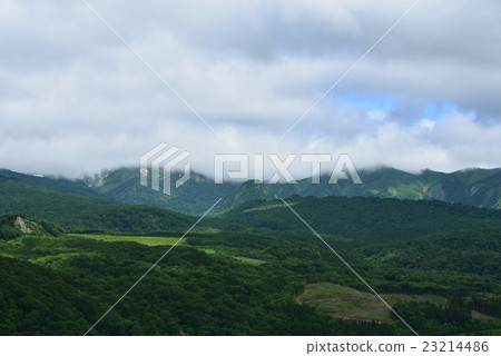 初夏的東北山脈 23214486