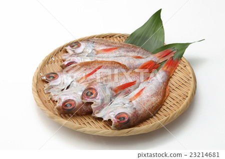 食品魚隔夜幹鯛魚魚和貝類乾魚豪華魚隔夜幹無麵包乾魚竹草 23214681