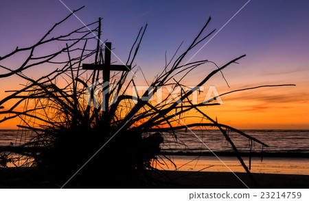 Roots of the Cross Roots of the Cross 23214759