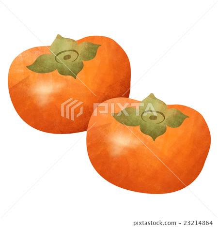 柿子圖 柿子圖 23214864