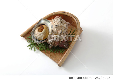 海鮮海鮮Sazae鮮魚新鮮食品竹草 23214902