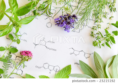 草藥和科學 23215192