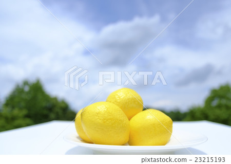 檸檬的圖像 23215193