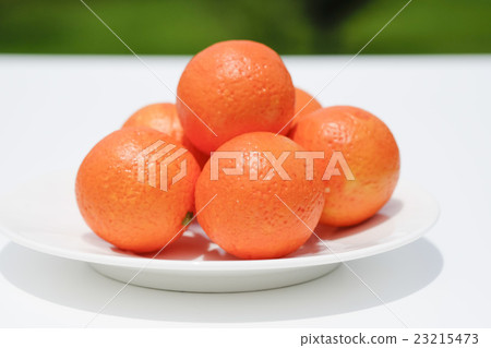 普通照片 普通照片 23215473