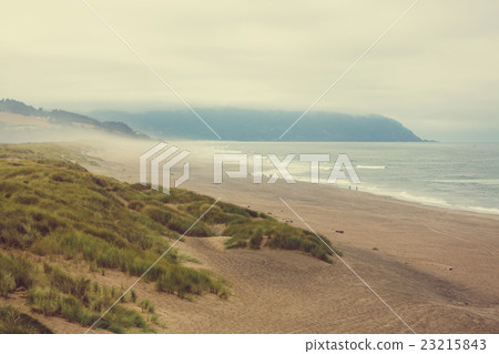 Oregon coast Oregon coast 23215843