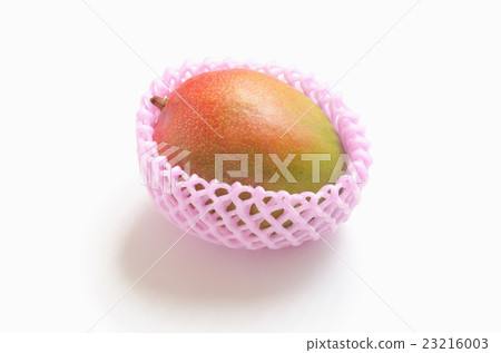 Apple Mango (Kent species from Peru) 23216003