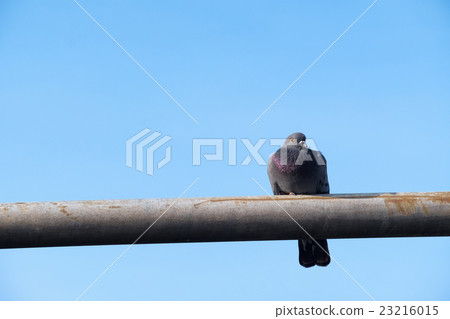 Modern building close up, business tower 23216015