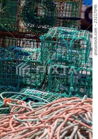 square green crab traps in marine 23217046