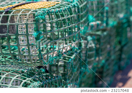 square green crab traps in marine 23217048
