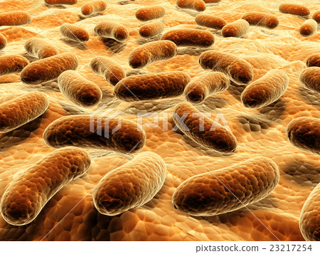 Pathogen bacteria on the surface 23217254