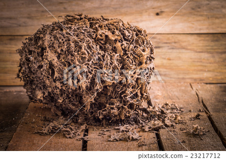 Decay brown log destruction by termite Decay brown log destruction by termite 23217712