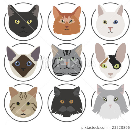 Cat breeds icon set flat style Cat breeds icon set flat style 23220896