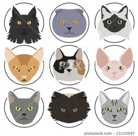 Cat breeds icon set flat style Cat breeds icon set flat style 23220897