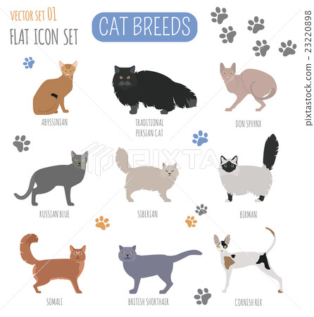 Cat breeds icon set flat style Cat breeds icon set flat style 23220898