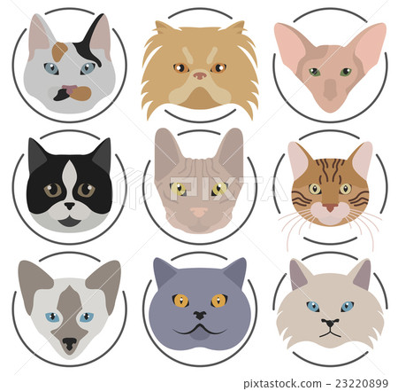 Cat breeds icon set flat style Cat breeds icon set flat style 23220899