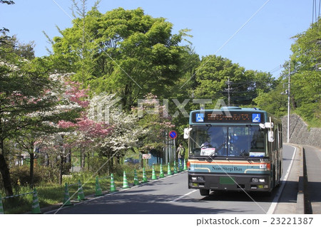 Seibu Tourist Bus (Shibaura Shuttle) 23221387