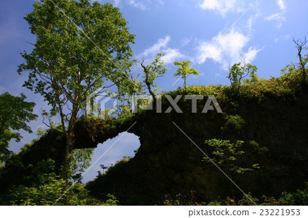 海帶樹登山路眼鏡岩石 海帶樹登山路眼鏡岩石 23221953