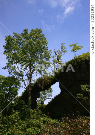 Kelp Tree mountain climbing road glasses rock Kelp Tree mountain climbing road glasses rock 23221954