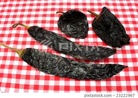 Chile · Pasija and Chile · Mulato 23222967