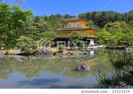 Kanonpo Kinkakuji of the Man Green Kanonpo Kinkakuji of the Man Green 23223314