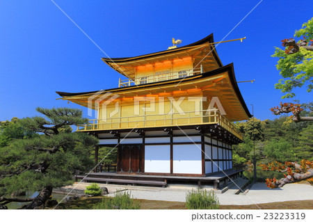 Man Green的Kanonpo Kinkakuji Man Green的Kanonpo Kinkakuji 23223319