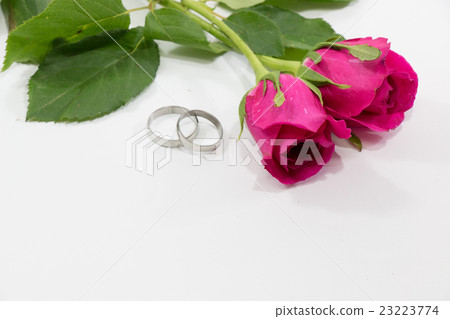 Pink Rose, Engage ring with love in Valentines Day 23223774