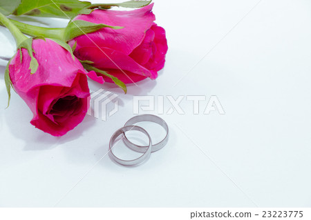 Pink Rose, Engage ring with love in Valentines Day 23223775