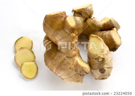Ginger 23224050