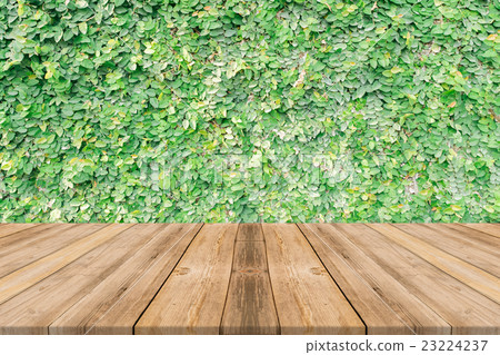 Wooden board table blur trees in forest background Wooden board table blur trees in forest background 23224237