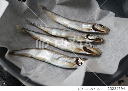 California shishamo California shishamo 23224594