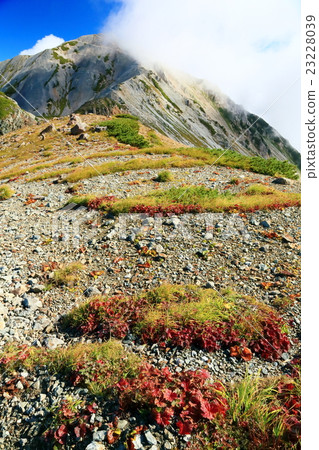 Mt. Hakuba Ikugatake和Miyama Radish Saw秋葉 23228039