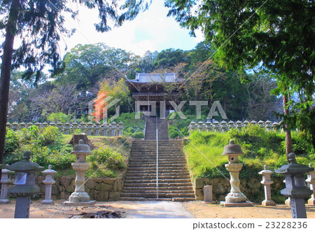 Honentera Honentera 23228236