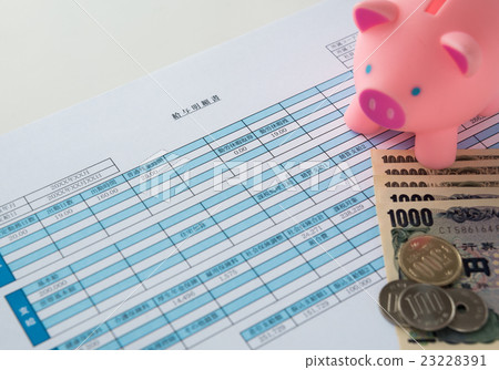 Salary statement Monthly wage salary 23228391